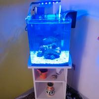 Acquario marino completo