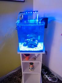 Acquario marino completo