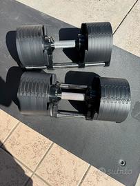 Manubri regolabili Kings Gym