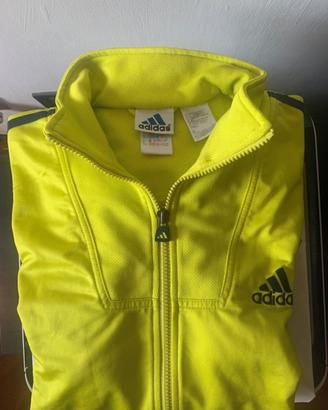 Fepa ADIDAS