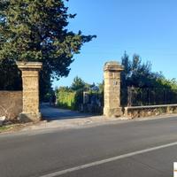 CARINI/BIVIO FORESTA: TERRENO AGRICOLO MQ 3600