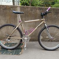 MTB  vintage