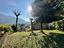 Immagine 26