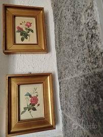 quadri stampa botanica con cornice de legno dorata