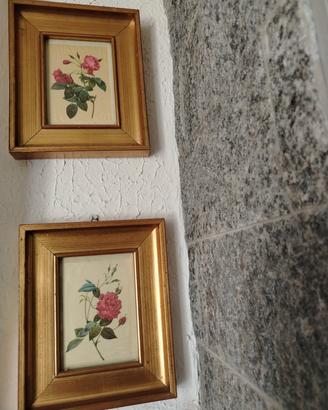 quadri stampa botanica con cornice de legno dorata
