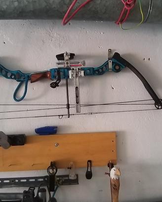 arco compound mathews 