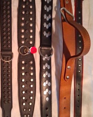 Collari e guinzagli in vero cuoio