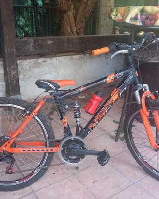 bicicletta