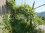 Immagine 25