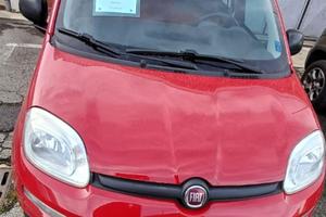 FIAT Panda 1.2 GARANZIA