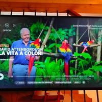 SONY TV KD49XH8096 + Soundbar HT-MT300 + Subwoofer