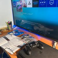 Playstation 4 slim compresa di tutto