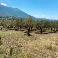 Terreno panoramico