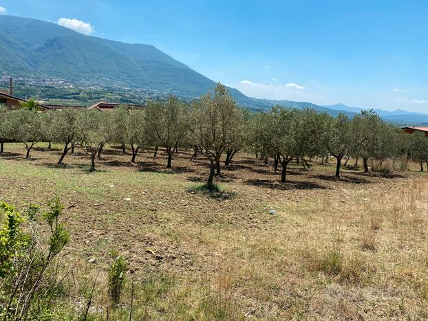 Terreno panoramico