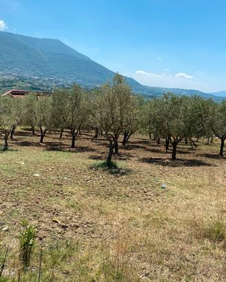 Terreno panoramico