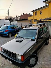 Panda young 900