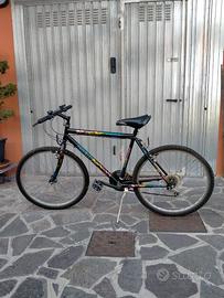 Mountain bike