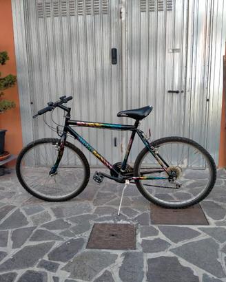 Mountain bike