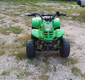 Mini Quad 50cc per ragazzo