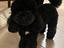 Immagine 1