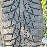 Gomme Nokian 225/55 R16 99H 
