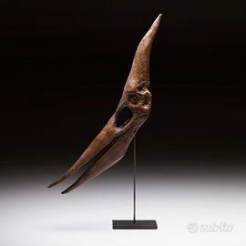 Teschio di Pteranodont in resina