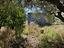 Immagine 22
