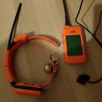 GPS per cane