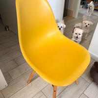 4 sedie colorate sklum