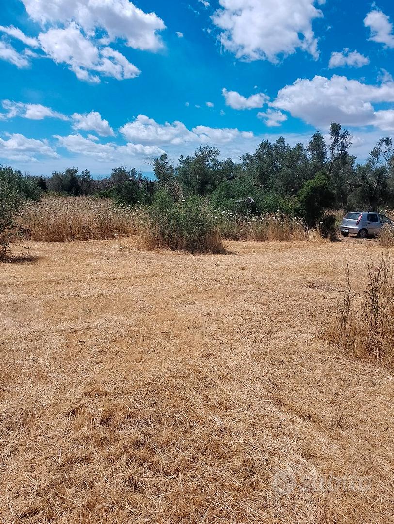 Terreno agricolo - Altro
