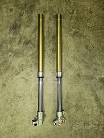 Paioli 38 hm revisionate