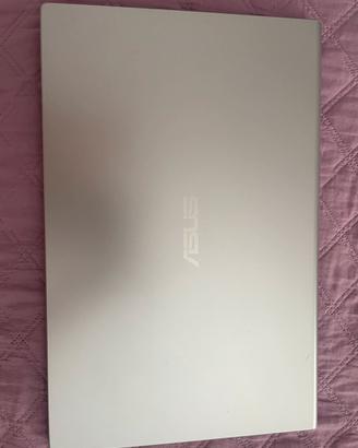 ASUS F515JP i7 10ª Gen 2GB VRAM 8GB Ram SSD 256GB