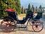 Immagine 24