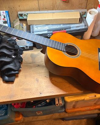 Chitarra Valencia model vc204