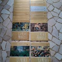 Collezione dischi in vinile  “ La musica moderna “