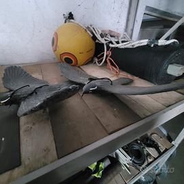 Uccelli spaventapasseri