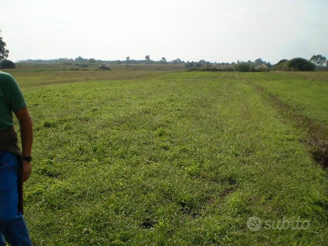 Terreno di 3349 mq a Fondi (Lt) località Salto - Vista 2