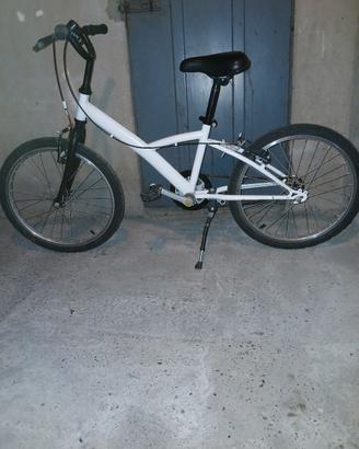 BICI 20