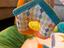 Immagine 6