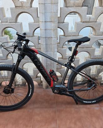 E-mountain bike olimpia performer12 1000