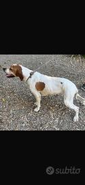 Pointer