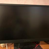 Monitor hp