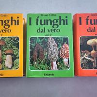 ENCICLOPEDIA FUNGHI