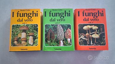 ENCICLOPEDIA FUNGHI