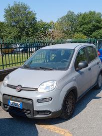  FIAT Panda Hybrid Firefly 