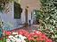 Immagine 6