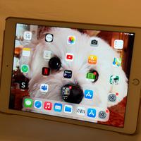 Apple iPad 8 ORO 32 GB COME NUOVO