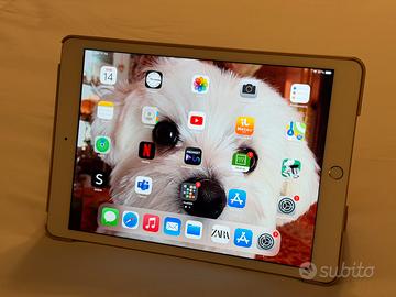 Apple iPad 8 ORO 32 GB COME NUOVO