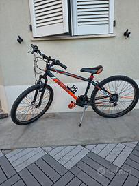 Mountain bike Record (Cicli Casadei) - arancione/n
