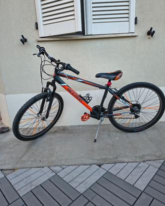 Mountain bike Record (Cicli Casadei) - arancione/n
